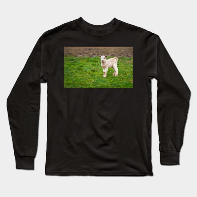 Baby goat on a meadow with copyspace Long Sleeve T-Shirt by naturalis